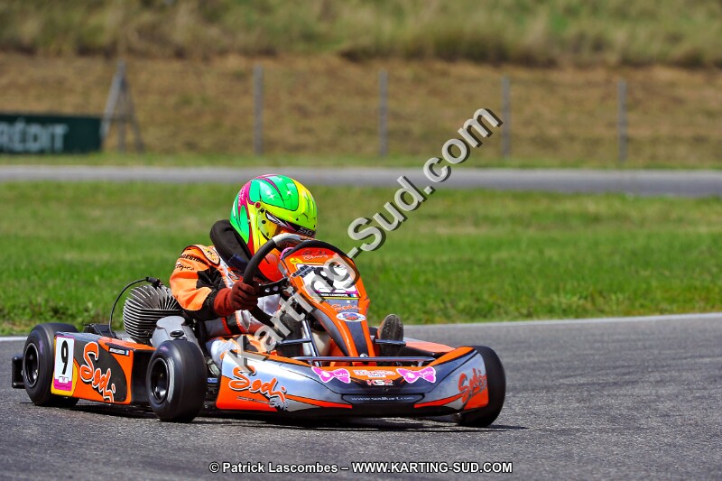 DSC_ (298).jpg
